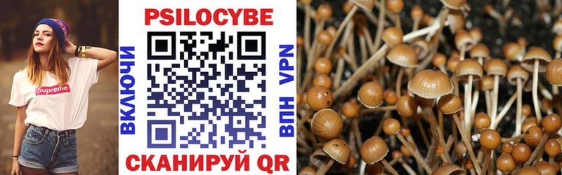 Псилоцибиновые грибы MAGIC MUSHROOMS Каменногорск