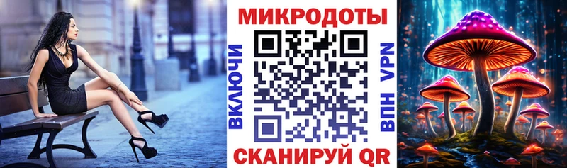 цена наркотик  Каменногорск  Галлюциногенные грибы Psilocybe 
